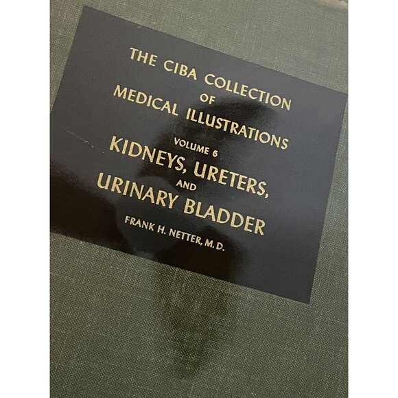 Netter's CIBA Medical Illustrations: Kidneys, Ureters, Bladder, Vol 6 - Picture 2 of 7